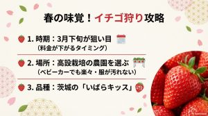 春休みのイチゴ狩りに最適な時期、場所選び、おすすめ品種「いばらキッス」の紹介